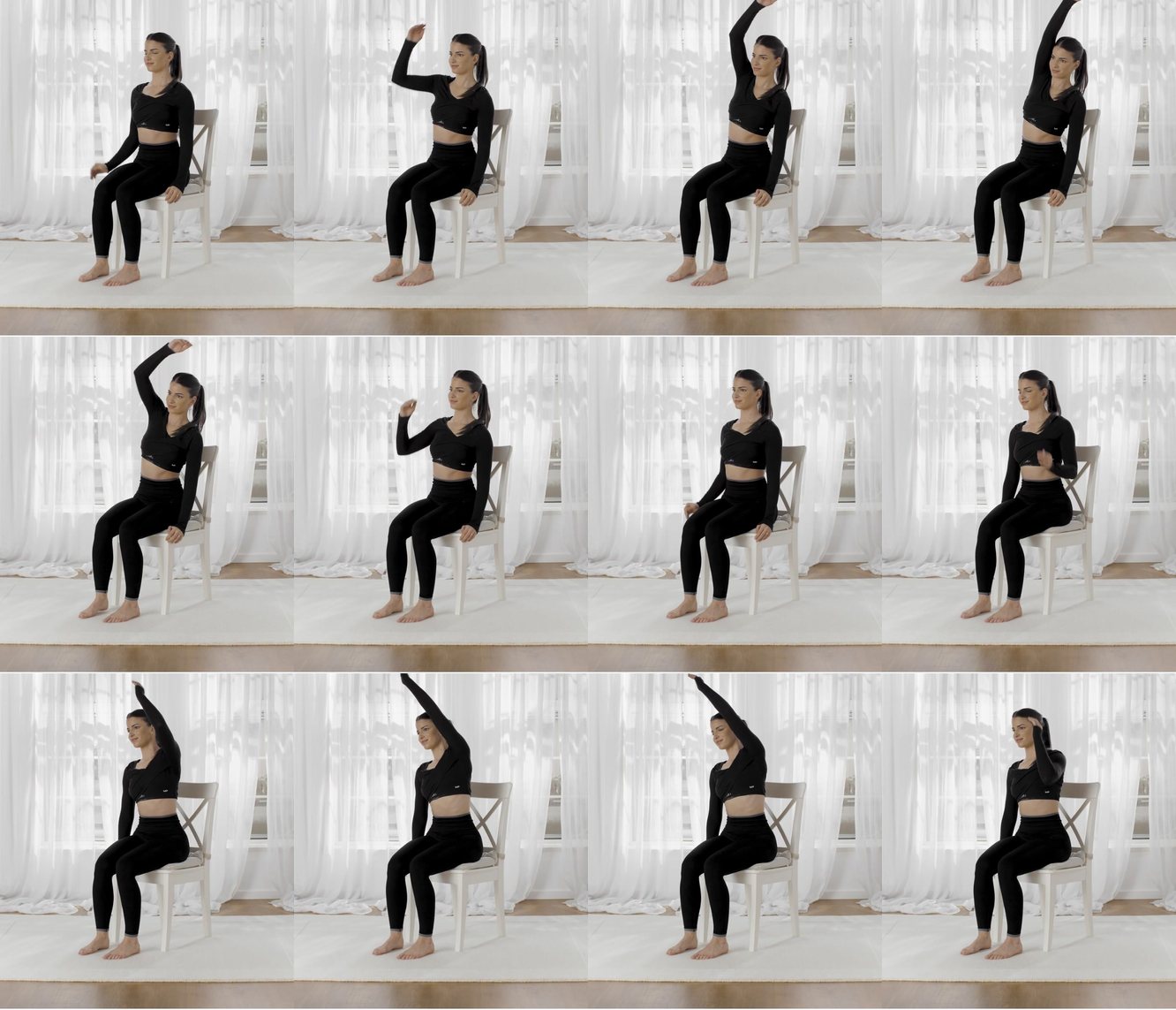 Seated Alternating Arm Raises keyframes