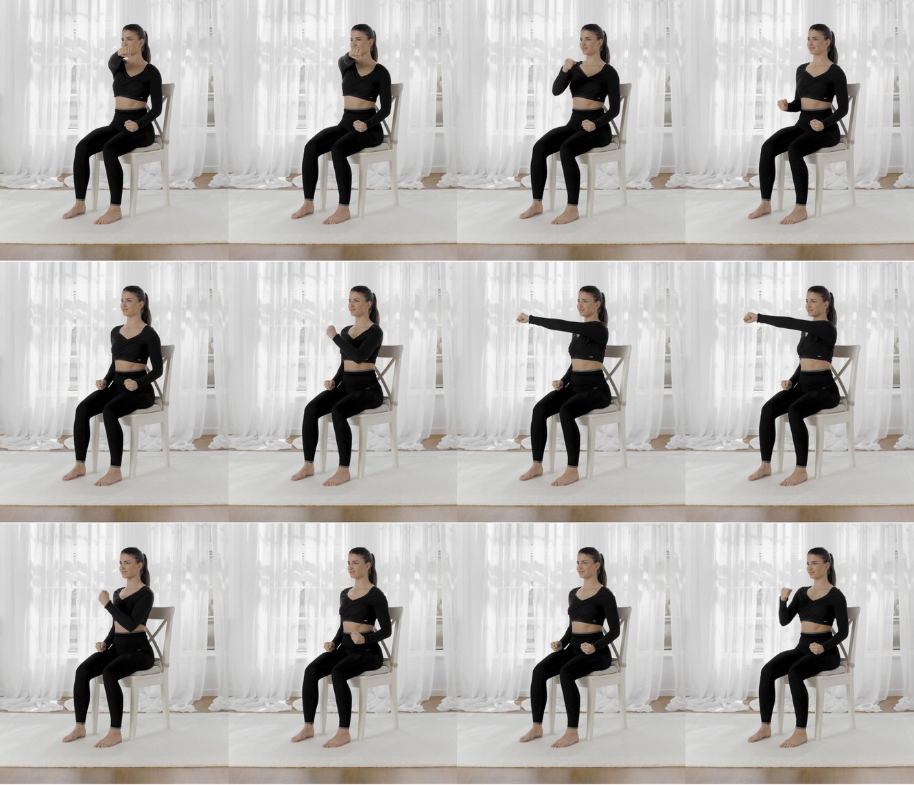 Seated Alternating Arm Side Raises keyframes